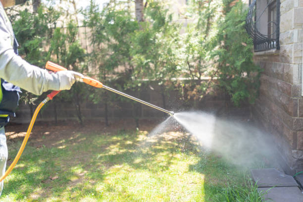 Emergency Pest Control in Green Knoll, NJ